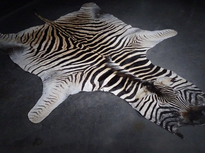 Skóra afrykańskiej zebry - Dywanik - 180 cm - 300 cm