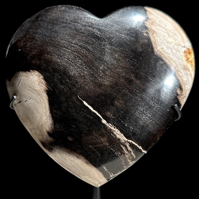 EI VARASHINTA - Upea kivettynyt puinen sydän mukautetussa jalustassa - Kivettynyt puu - Petrified Wood - 20 cm - 14 cm  (Ei pohjahintaa)