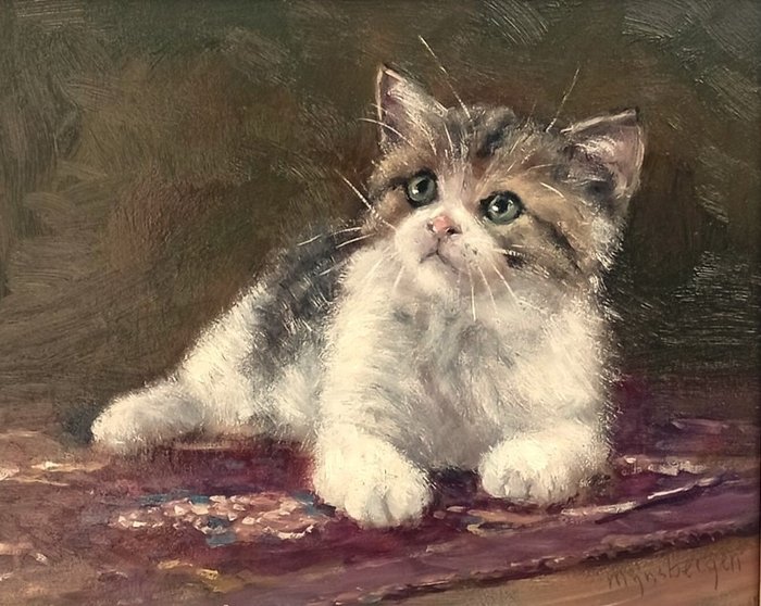 Mijnsbergen (1945) - Jong katje