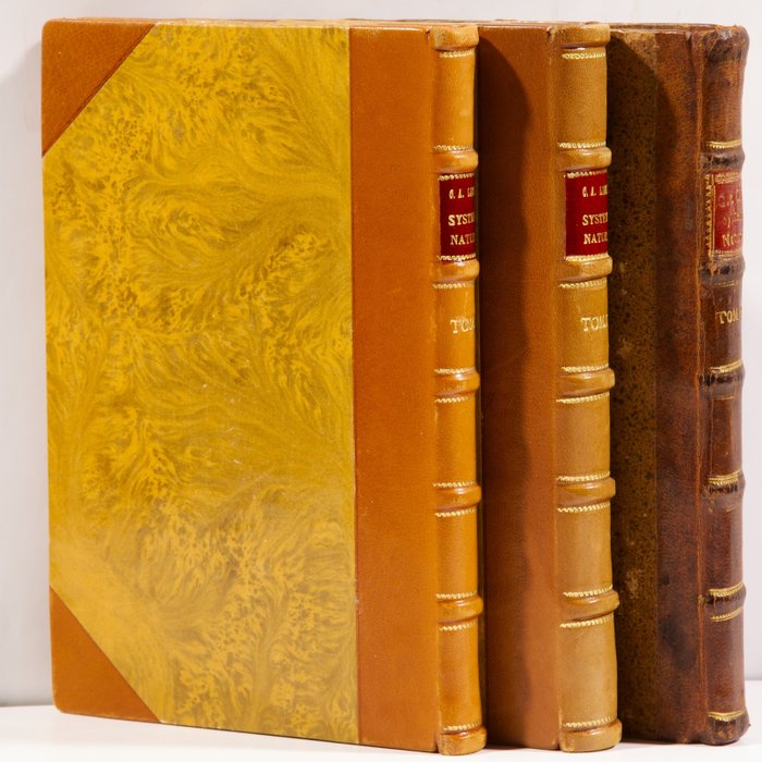 Carl von Linné - 3e vol. EO - Systema naturæ - rare réunion des 3 volumes - 1744-1768