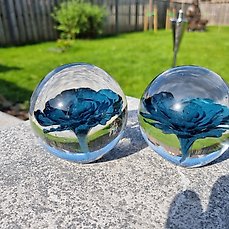 Presse-papier – 2 Glass Spheres with Flower – Glas