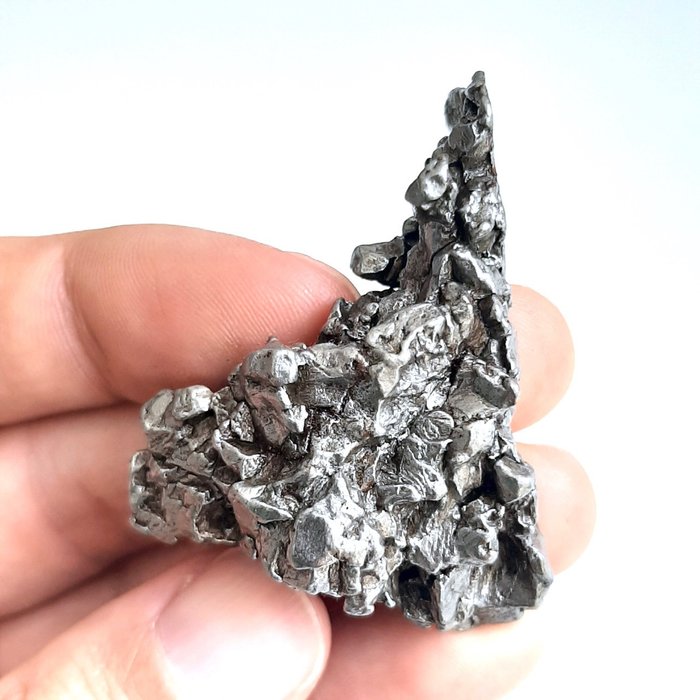 坎波德爾切洛隕石。來自阿根廷的鐵 - 77 g
