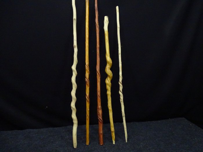 vine curled (walking) Sticks Spazierstock  (5) - Holz