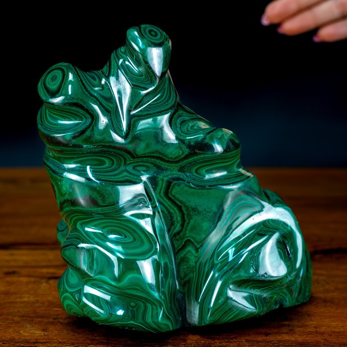 Llama natural rara de crisocola de malaquita botryyal Escultura- 1740.63 g