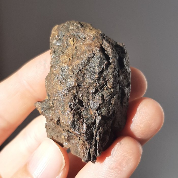 Serichon meteoriitti. Pallasite Keniasta - 83.8 g