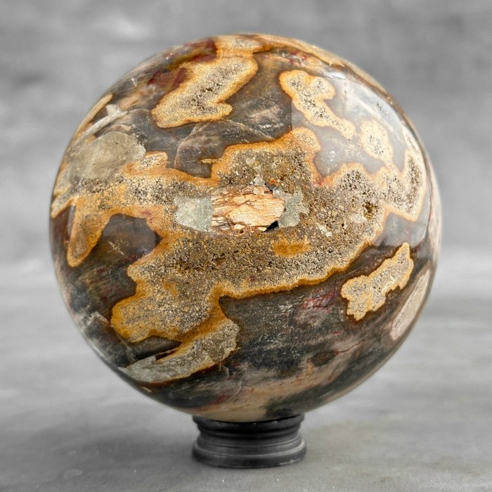 SIN PRECIO DE RESERVA - Hermosa esfera de madera petrificada con soporte personalizado - Madera fosilizada  (Sin Precio de Reserva)