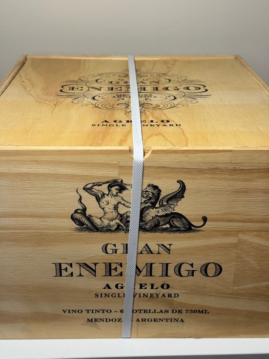 2019 Bodega Aleanna 'Gran Enemigo' Agrelo Single Vineyard Cabernet Franc - Mendoza - 6 Flasker  (0,75 l)