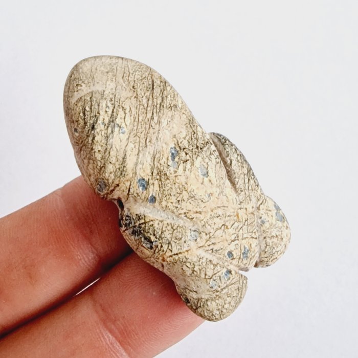 中蒙或中西伯利亚 硬石/硬玉 青蛙珠护身符 - 49 mm