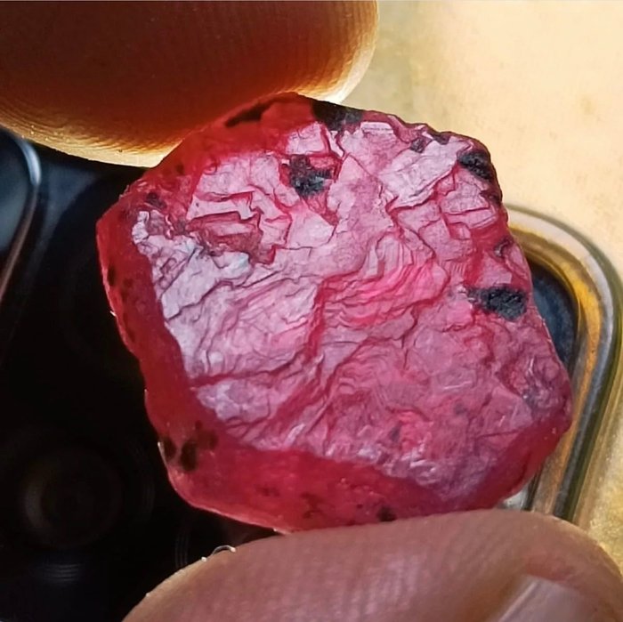 Ruby 16 克拉非洲原始紅寶石。天然，100%來自特選紅寶石產區- 3.1 g