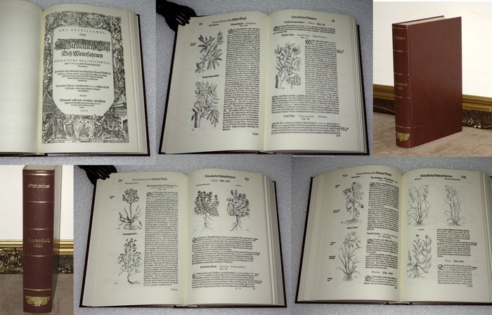 Alemanha, Fac-símile - Livro de ervas; Franckfurt am Mayn Johann Bringern - Griechischer Scribent PEDACII DIOSCORIDIS ANARZARBAEI - 1601-1620