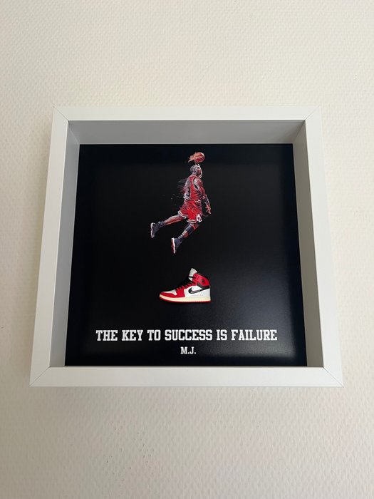 DB Arte - Nike x Jordan - ''Soaring Success''