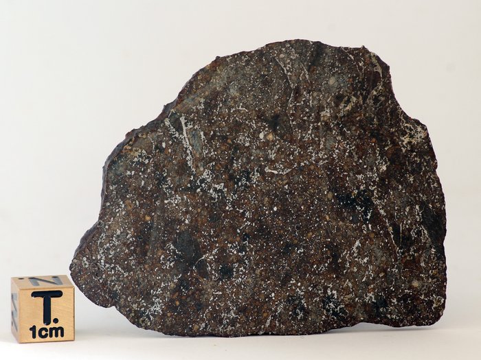 Μοναδικός μετεωρίτης από τον ουρανό με πολλά μέταλλα OC4 NWA 15468 full slice - 29.4 g - (1)