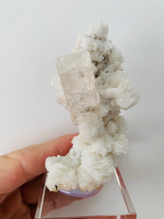 Topas Kristall auf Muttergestein - Höhe: 9 cm - Breite: 4.5 cm- 160 g