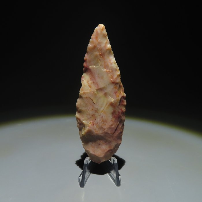 Neolítico Pedra Ferramenta. 3.000-2.000 AC. 8,3 cm L.  (Sem preço de reserva)