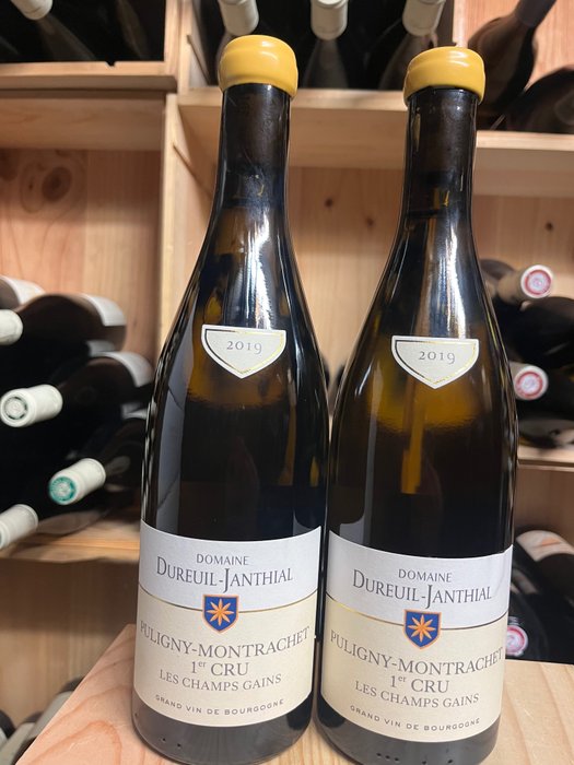 2019 Puligny Montrachet 1° Cru "Les Champs Gains" -  Domaine Dureuil Janthial - Bourgogne - 2 Bottles (0.75L)