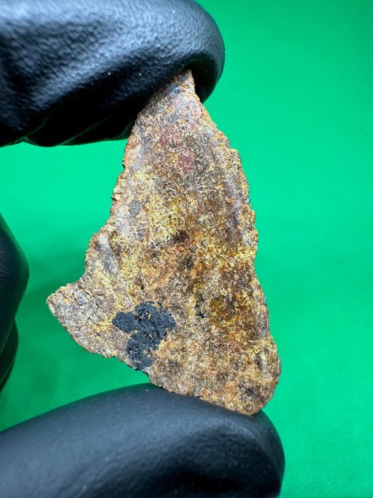 Schöner Endschnitt von Diogenit NWA 13687 Achondrit Meteorit - 4.6 g - (1)