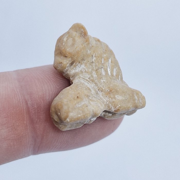 Indus Vallei Harde steen Leeuw kraal hanger - 20.8 mm