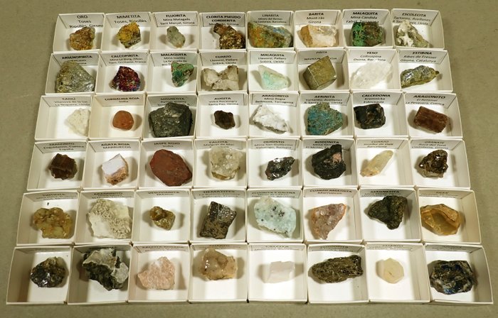 Collezione di minerali - Altezza: 21 cm - Larghezza: 16 cm- 962 g - (48)