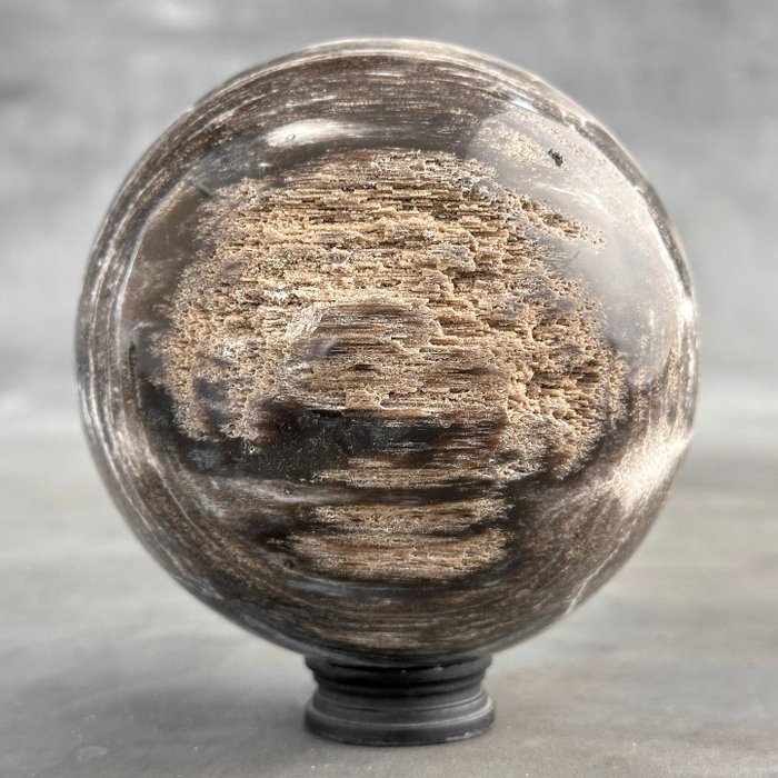SEM PREÇO DE RESERVA - Maravilhosa esfera de madeira petrificada em suporte personalizado - Madeira fossilizada  (Sem preço de reserva)