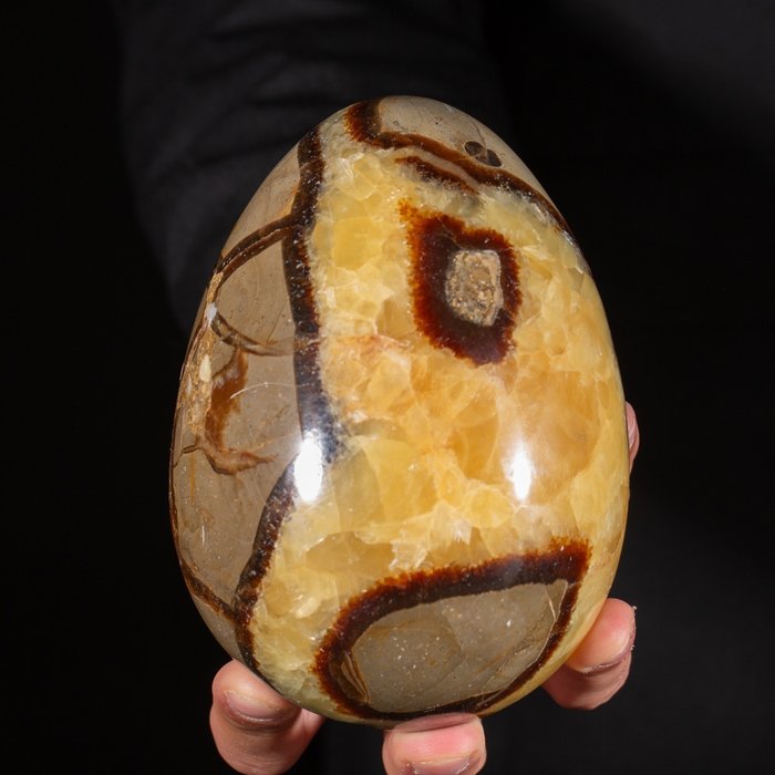 Septarian Egg "Dragon Egg". - Ύψος: 130 mm - Πλάτος: 105 mm- 1620 g