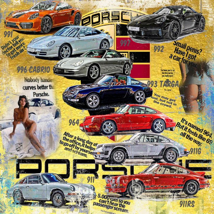 Luc Best - "Porsche 911 - Evolution""