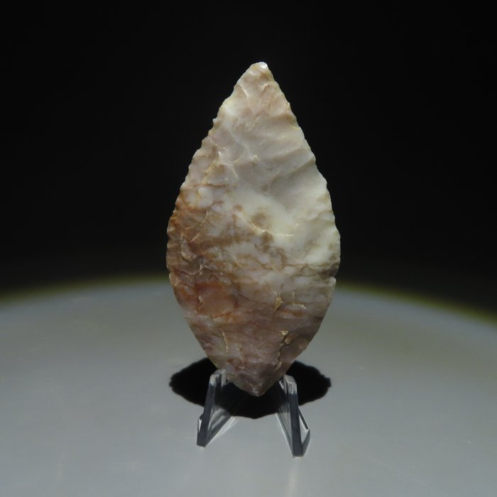 Neolitikum Stengodslera Verktyg. 3000-2000 f.Kr. 7,3 cm L.  (Utan reservationspris)