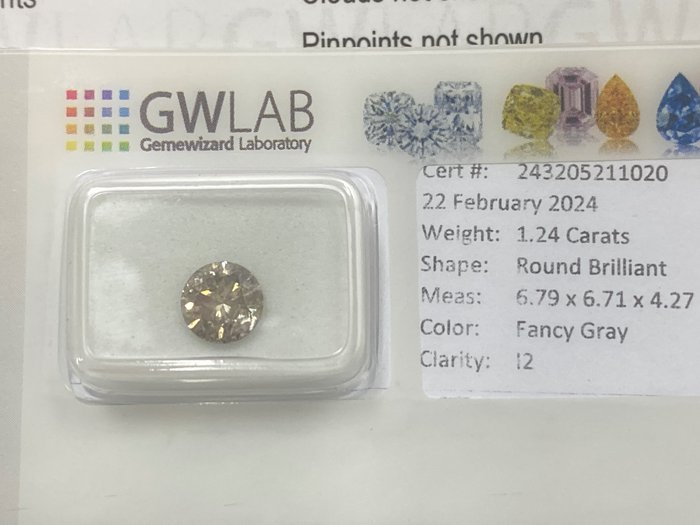 1 pcs 钻石 - 1.24 ct - 圆形 - Fancy gray - I2 内含二级, NO RESERVE PRICE