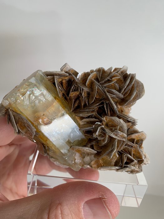 aquamarijn Kristal op matrix - Hoogte: 9 cm - Breedte: 6 cm- 248 g