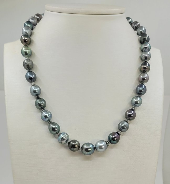 Necklace - 8.2x11.3 Multi Tahitian Pearls 