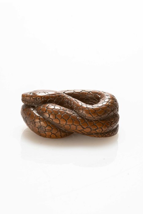 Un netsuke en buis inhabituel représentant un serpent enroulé autour de lui-même - Buis - Japon - Période Edo (19ème siècle)
