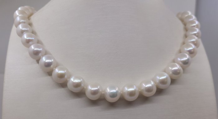 Ohne Mindestpreis - 10x11.5mm White Edison Pearls - Halskette Weißgold