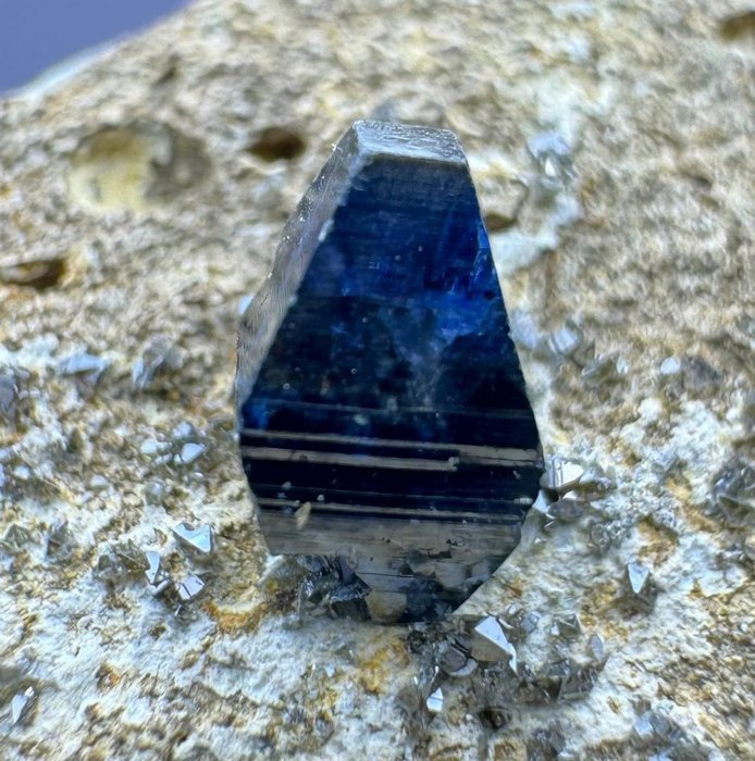 Vollständig abgeschlossener Top-Anatase-Kristall in blauem Farbton Kristall auf Muttergestein - Höhe: 27 mm - Breite: 23 mm- 26 t - (1)