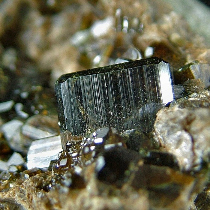 CW1072 Sehr helle Vesuviana Kristalle auf Muttergestein - Höhe: 58 mm - Breite: 51 mm- 82 g - (1)