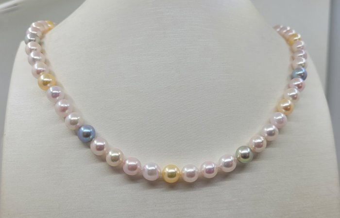 7x7.5mm Multi and Golden Akoya Pearls - Halskette Gelbgold