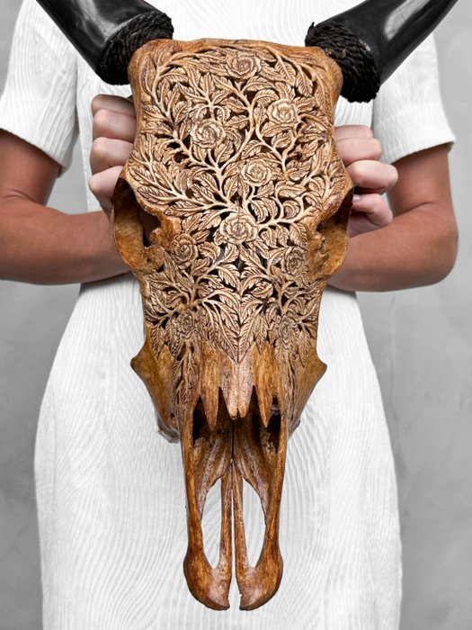 SIN PRECIO DE RESERVA - Cráneo de vaca marrón tallado a mano - Motivo de rosa - Cráneo tallado - Bos Taurus - 55 cm - 48 cm - 15 cm- Especie no CITES -  (1)