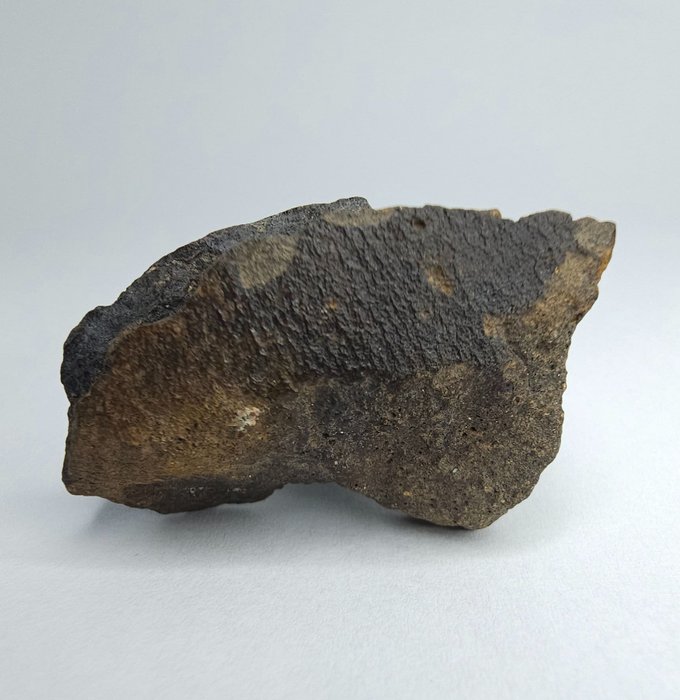 Meteorit carbonic CO3, NWA 16415. Nu rezervați preț. - 25.28 g - (1)