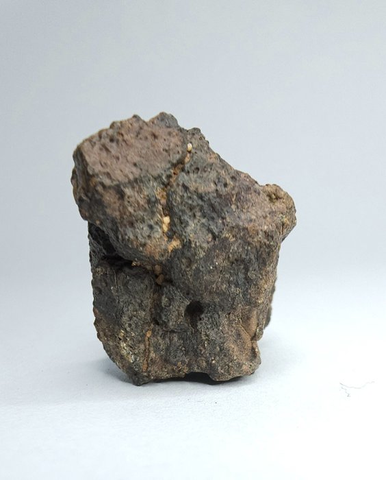 Meteorit Howardit HED, Bechar 008. Preis nicht reservieren. - 31.22 g - (1)