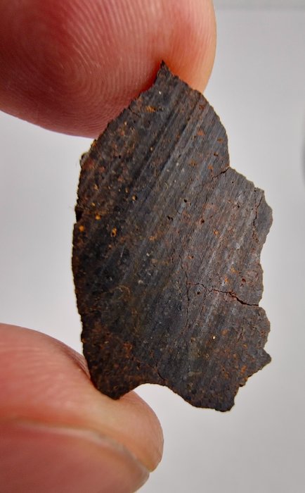 隕石 Brachinite，原始無球粒隕石 NWA 11756。 去除稀有材料。不保留價格。 - 3.62 g - (1)