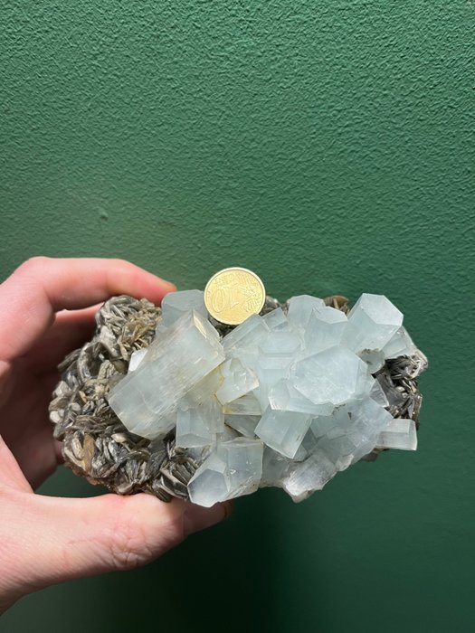 Aquamarin Kristalle auf Muttergestein - Höhe: 12 cm - Breite: 9 cm- 780 g