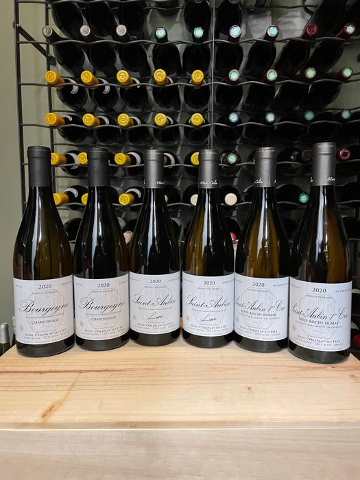 2020 Domaine Marc Colin & Fils x 2 Bourgogne Chardonnay, x 2  Saint-Aubin "Luce" & - Burgund Saint-Aubin 1° Cru "Sous Roche Dumay" - 6 Flaschen (0,75 l)