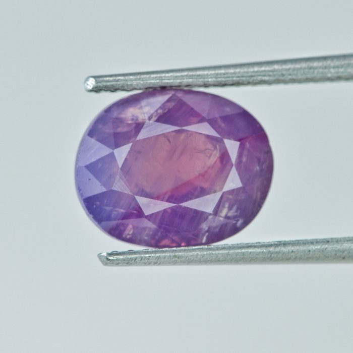 1 pcs Purple Sapphire - 3.76 ct