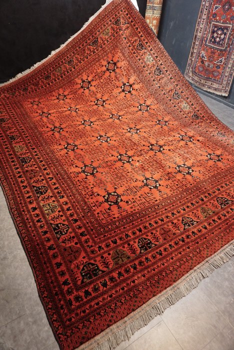 Afghan - Carpete - 385 cm - 305 cm