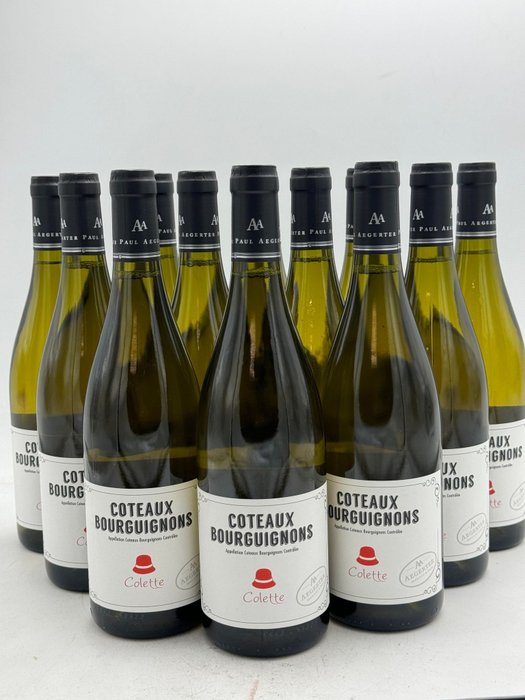 2022 Paul Aegerter - Coteaux Bourguignon Blanc Colette - Borgogna - 12 Bottiglie (0,75 L)
