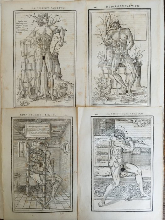 Charles Estienne - De dissectione partium corporis humani libri tres - 1530-1545