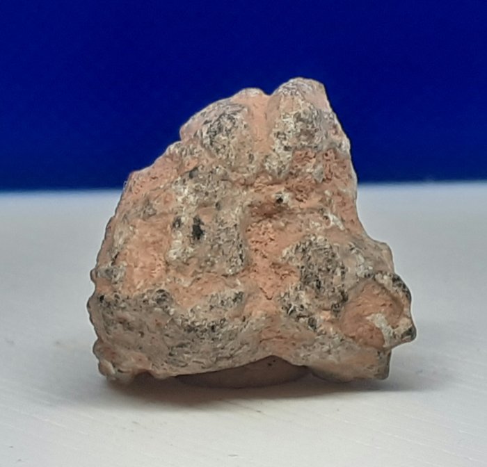 MOOM 陨石 FELDSPATICH BECHAR OO3 自由形式 - 高度: 7.6 mm - 宽度: 14.5 mm - 2.1 g - (1)