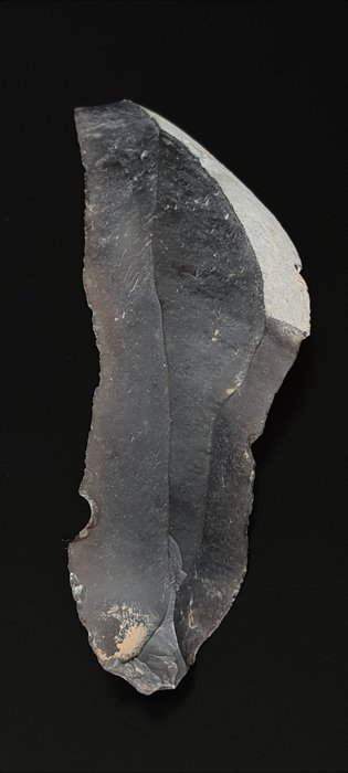 Neolítico Pedra Lâmina - 15 cm  (Sem preço de reserva)