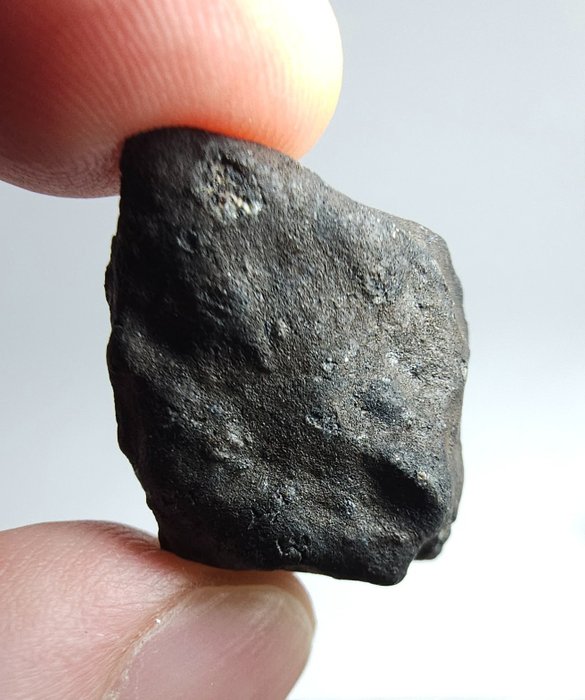 Meteorit: El Menia L5, beobachtet im Herbst 2023. Super frisch und ohne Mindestpreis. - 12.66 g
