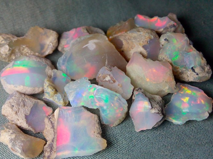 52,4 ct – Natürliche Opale roh- 10.48 g