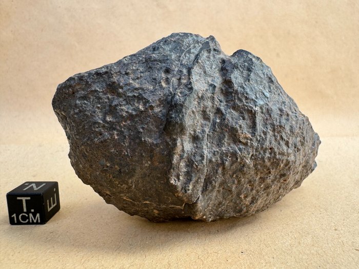 NWA xxx sin clasificar con buena forma Meteorito de condrita - 283.8 g - (1)