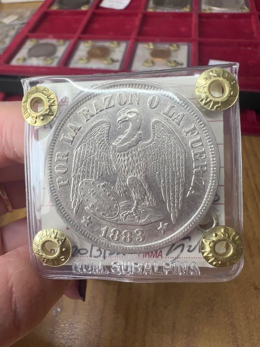 智利. 1 Peso 1883